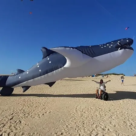 Elisa Hébergement de vacances